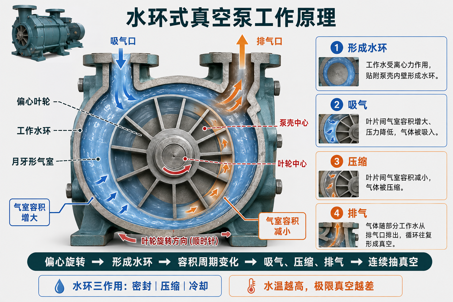 水环式真空泵实物剖视讲解图,标示偏心叶轮、工作水环、气室容积变化以及吸气、压缩和排气过程